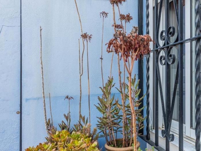 Apartamento Susillo Vacacional Sevilla Exterior photo